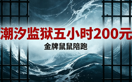 金牌寻宝潮汐监狱五小时